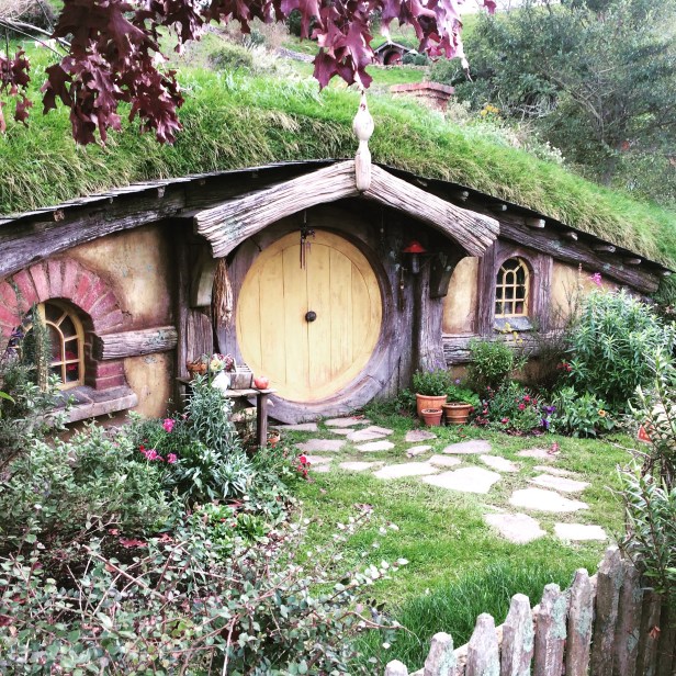 2015-07-05 14.55.25-1